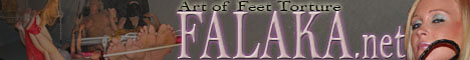 BDDSSM Falaka Videos